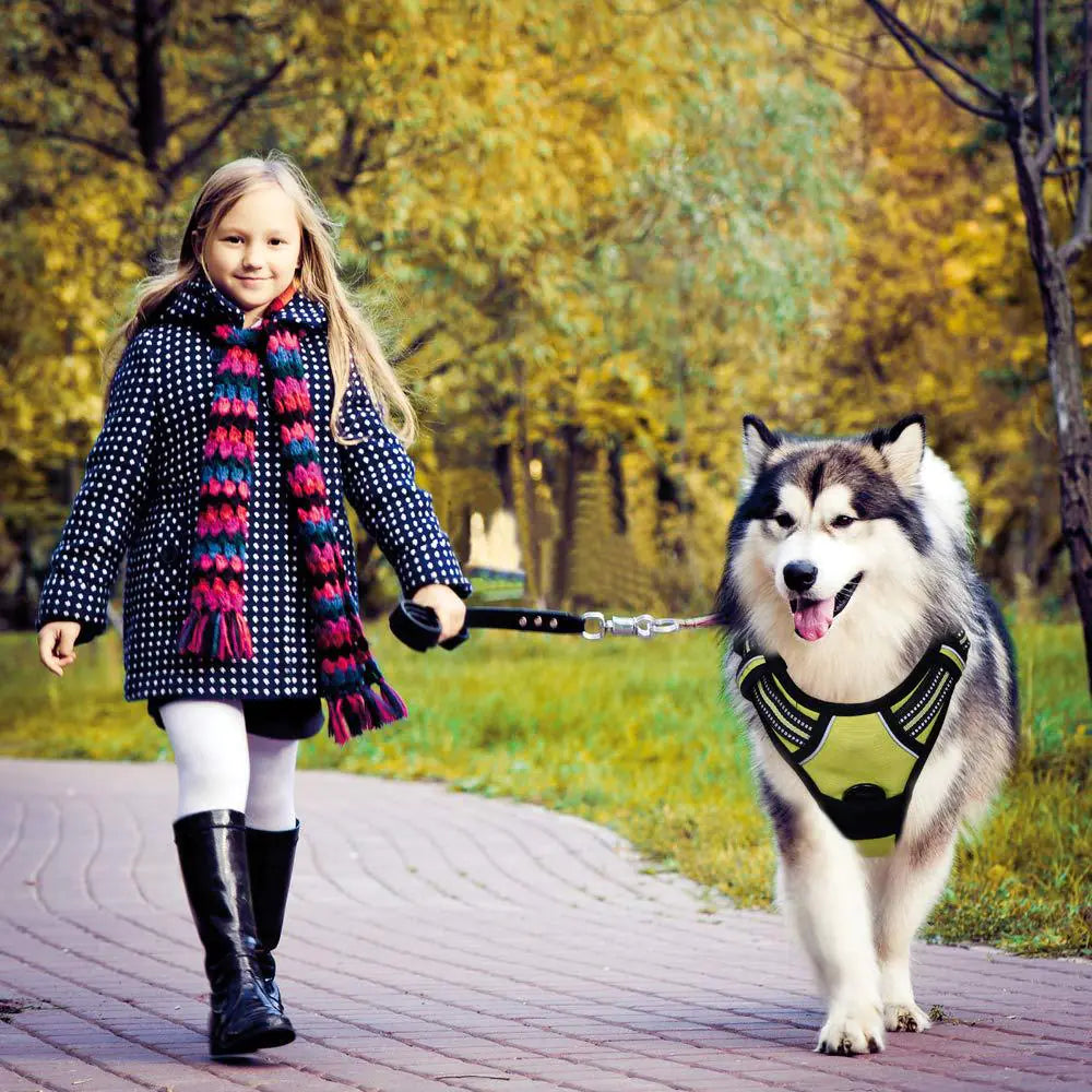 Reflective Anti-Explosion Dog Harness with Leash