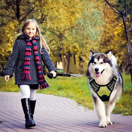Reflective Anti-Explosion Dog Harness with Leash